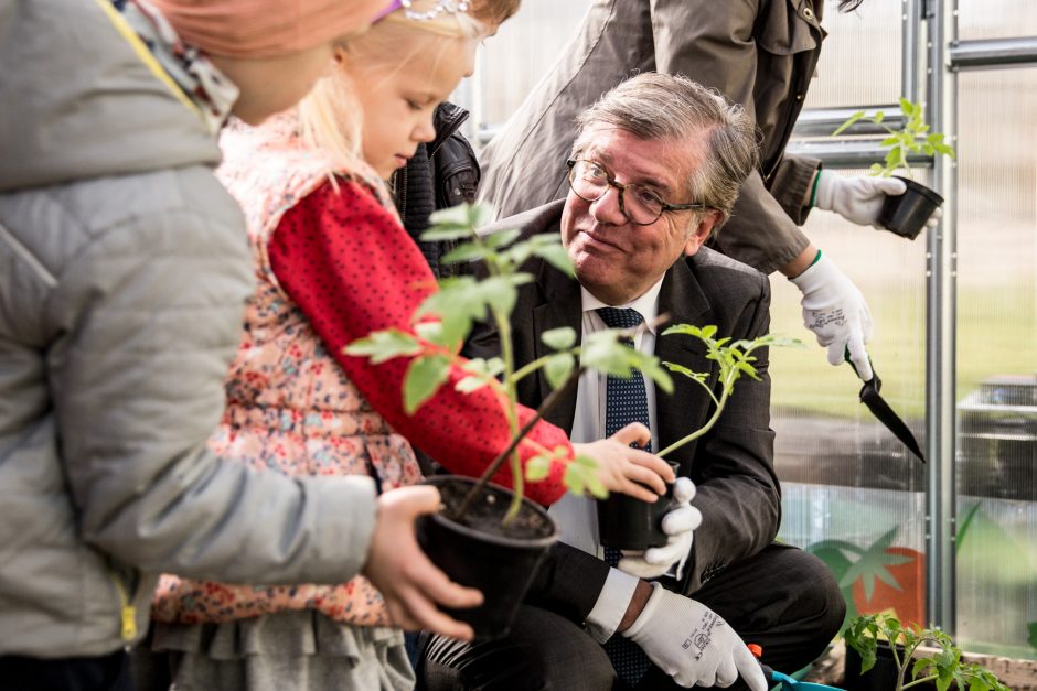 Šiltnamį laimėjusiems darželinukams sodinti daržoves padėjo ir meras