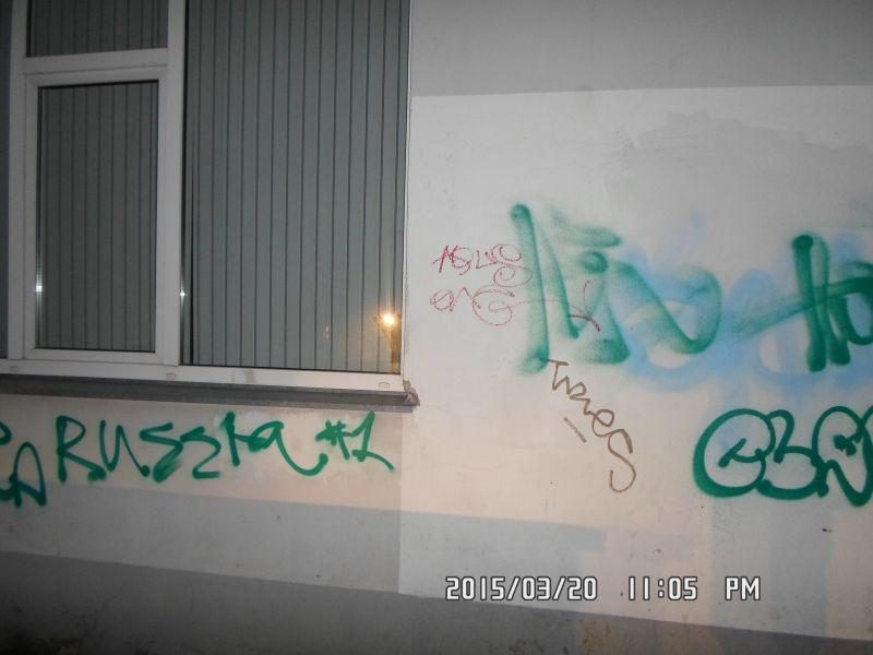 Pareigūnai uostamiestyje sulaikė grafitininką