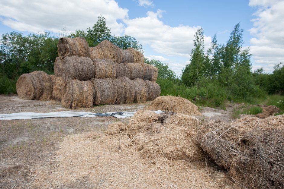 Nelaimė pakaunėje: sunkiai sužalotas vasarą užsidirbti planavęs gimnazistas 