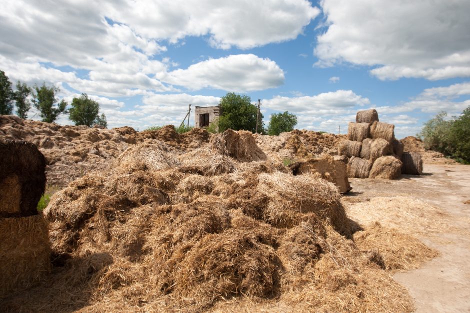 Nelaimė pakaunėje: sunkiai sužalotas vasarą užsidirbti planavęs gimnazistas 