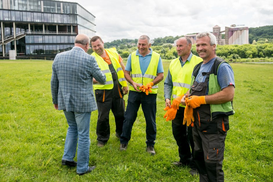 Prie arenos pasodintas „Žalgirio“ pergalių ąžuoliukas