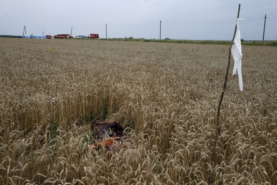 Olandija: dalies MH17 katastrofos aukų palaikų galbūt niekada nepavyks surasti