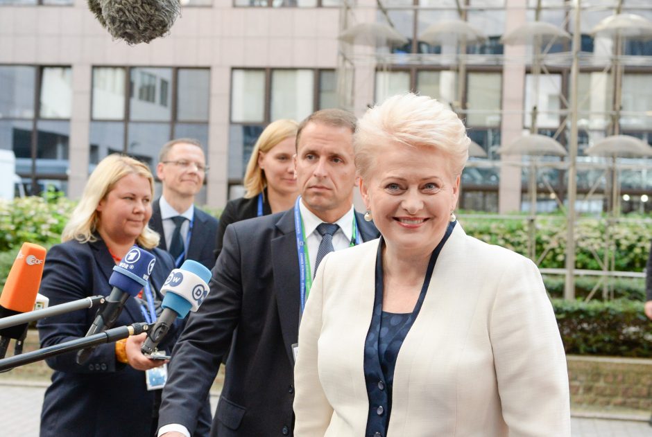 D. Grybauskaitė – už ginklų embargą Rusijai