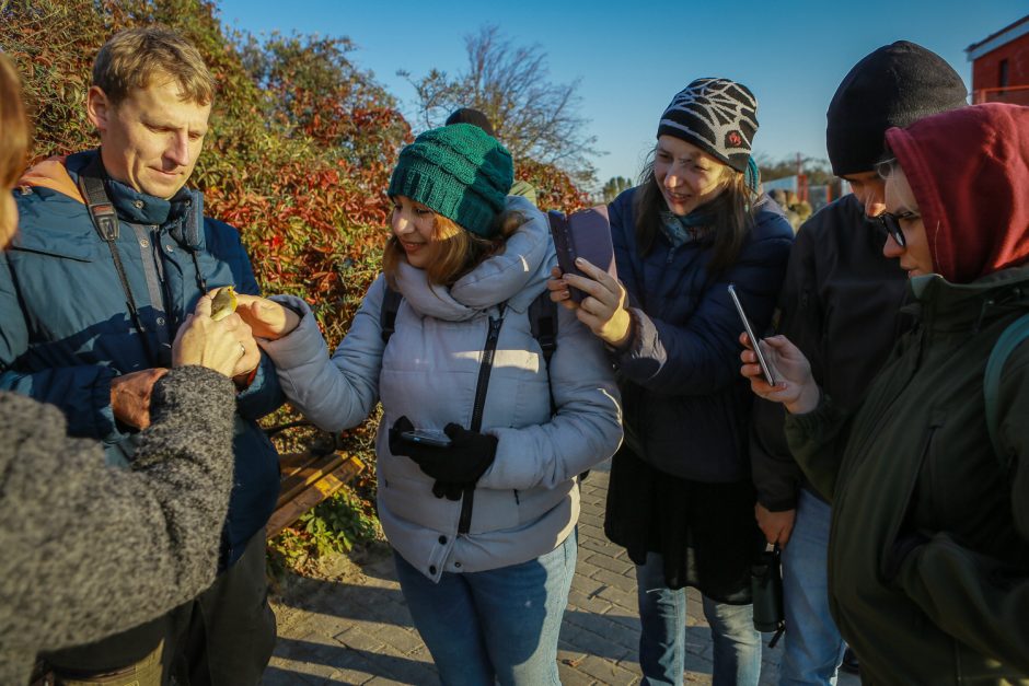 Ornitologai klaipėdiečiams padėjo suprasti paukščių migraciją