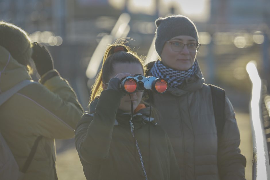 Ornitologai klaipėdiečiams padėjo suprasti paukščių migraciją