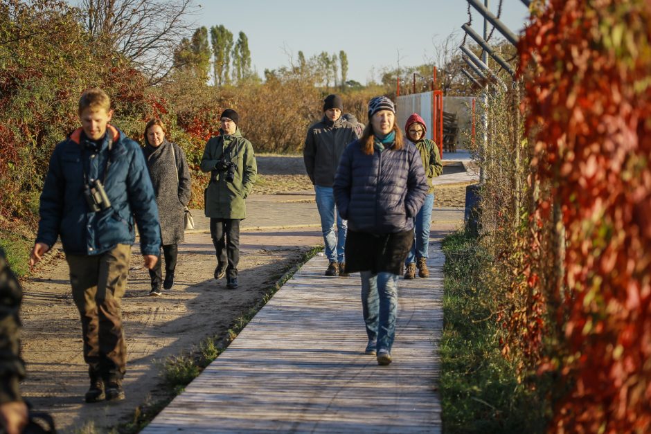 Ornitologai klaipėdiečiams padėjo suprasti paukščių migraciją