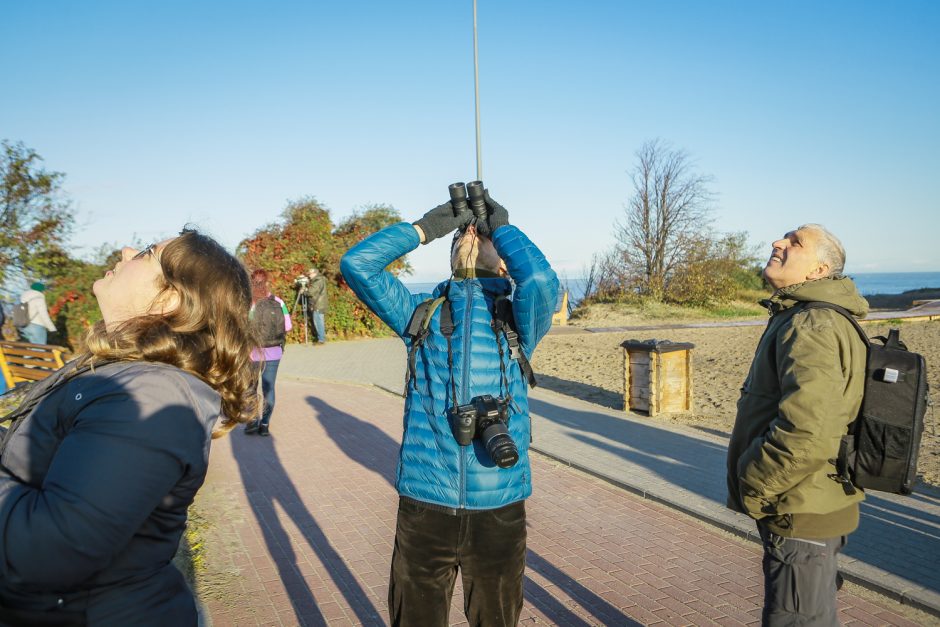 Ornitologai klaipėdiečiams padėjo suprasti paukščių migraciją