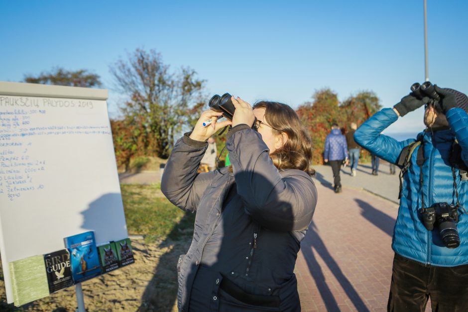 Ornitologai klaipėdiečiams padėjo suprasti paukščių migraciją