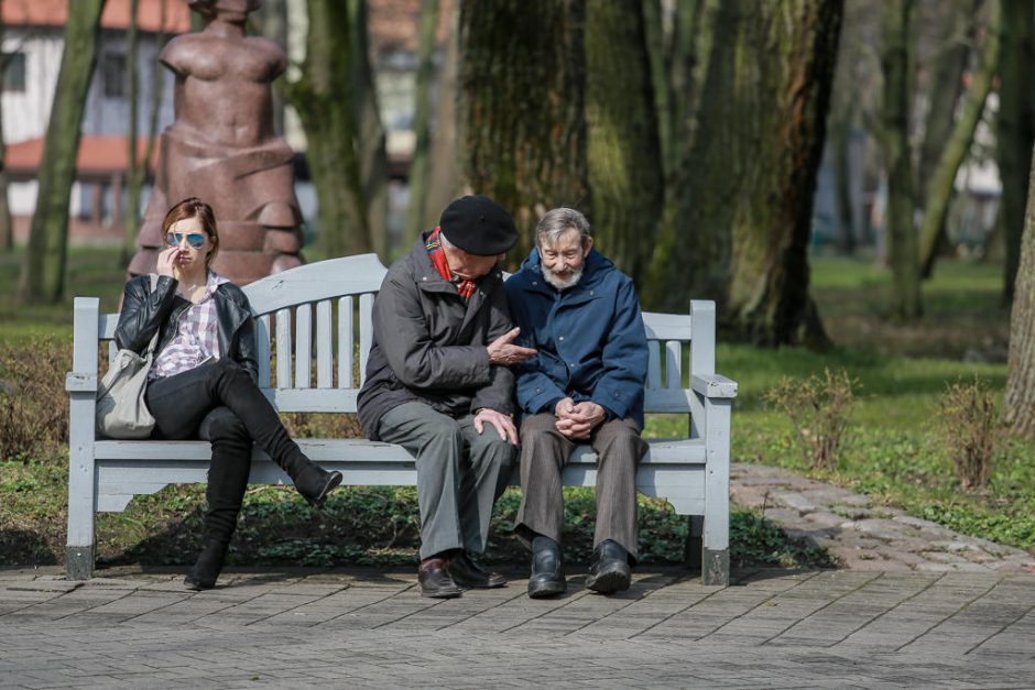 Į Skulptūrų parką sukvietė „Vynerio arbatėlė“