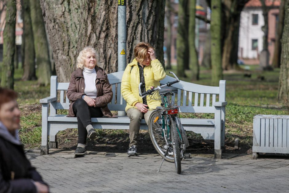 Į Skulptūrų parką sukvietė „Vynerio arbatėlė“