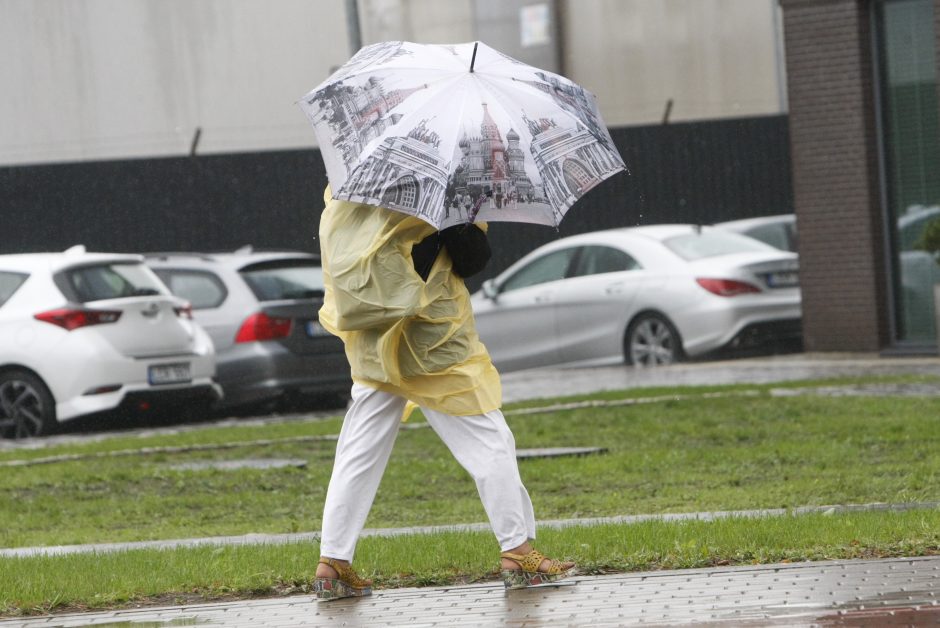 Per parą ugniagesiai daugiau nei 60 kartų vyko šalinti nuvirtusių medžių