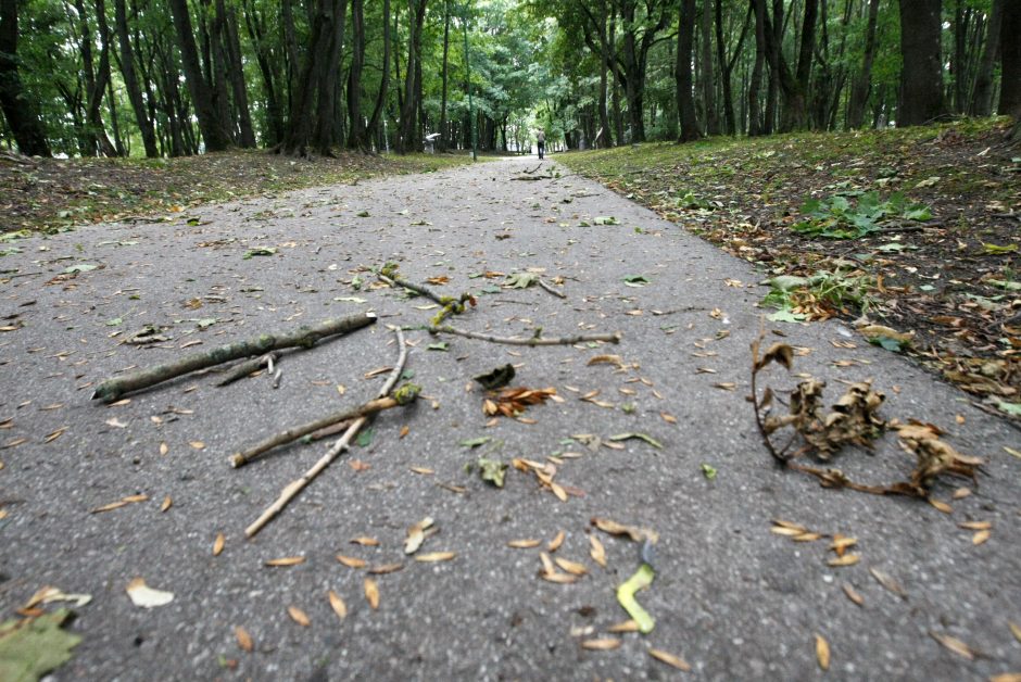 Uostamiestyje siautė vėjas: užtverti keliai ir apgadinti automobiliai (atnaujinta)