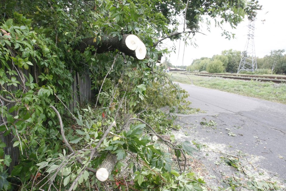 Uostamiestyje siautė vėjas: užtverti keliai ir apgadinti automobiliai (atnaujinta)