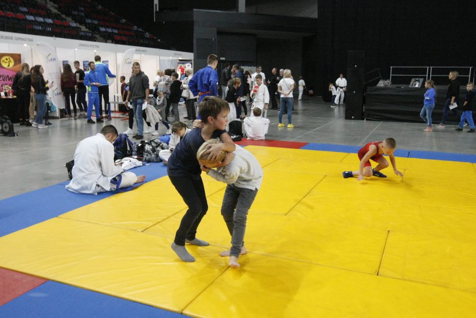 „Švyturio“ arenoje šurmuliavo sporto ir būrelių mugė