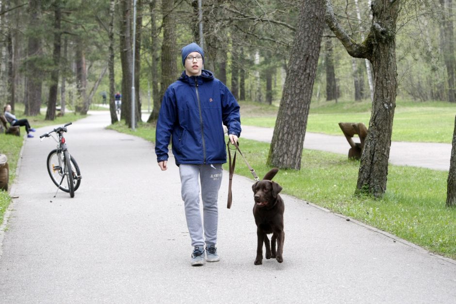 Klaipėdoje miško taku bėgo būrys šunų augintojų ir jų gyvūnai