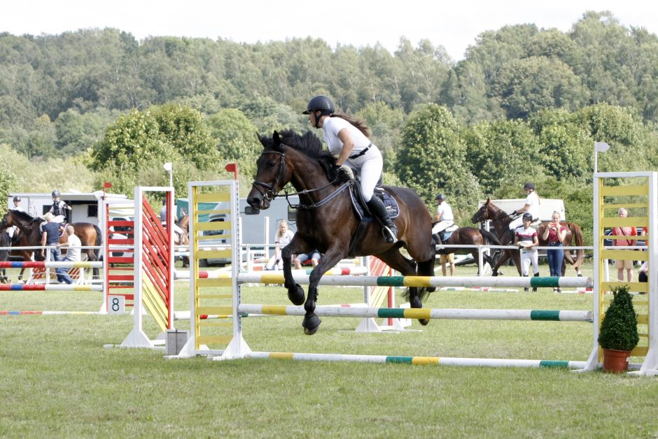 Gargžduose pakvipo cepelinais – vyksta virimo čempionatas