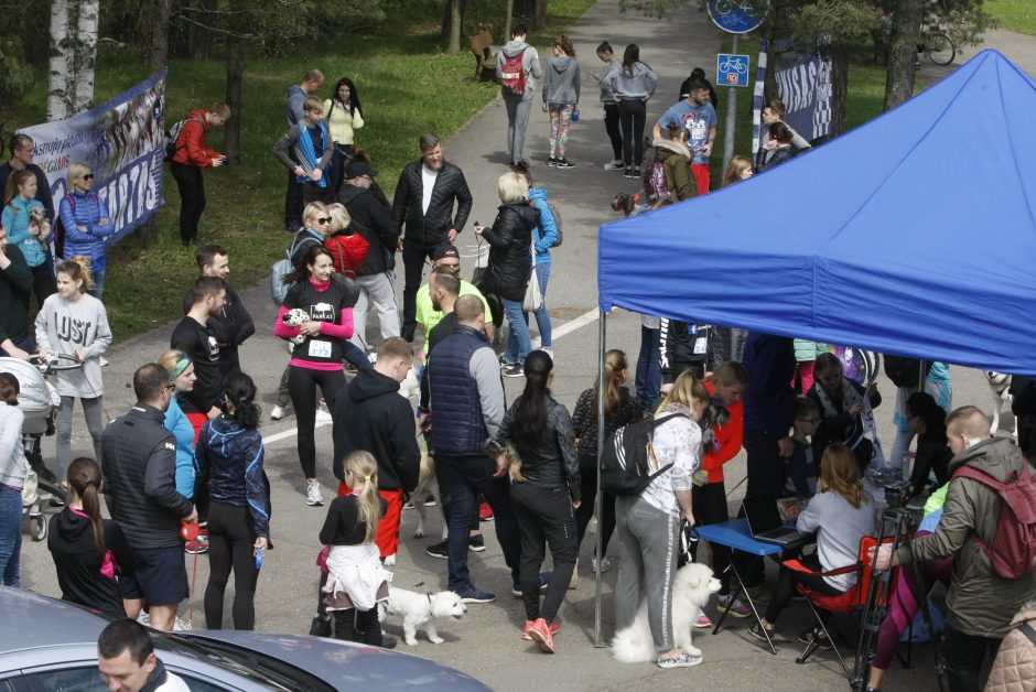 Klaipėdoje miško taku bėgo būrys šunų augintojų ir jų gyvūnai