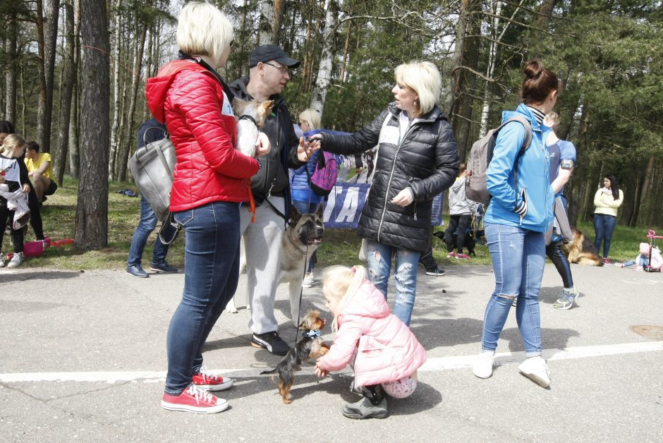 Klaipėdoje miško taku bėgo būrys šunų augintojų ir jų gyvūnai