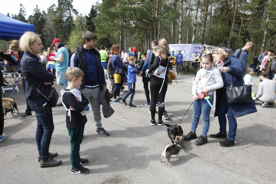 Klaipėdoje miško taku bėgo būrys šunų augintojų ir jų gyvūnai