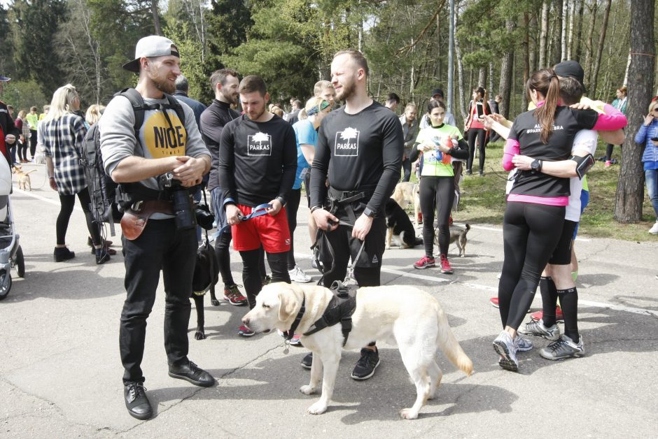 Klaipėdoje miško taku bėgo būrys šunų augintojų ir jų gyvūnai