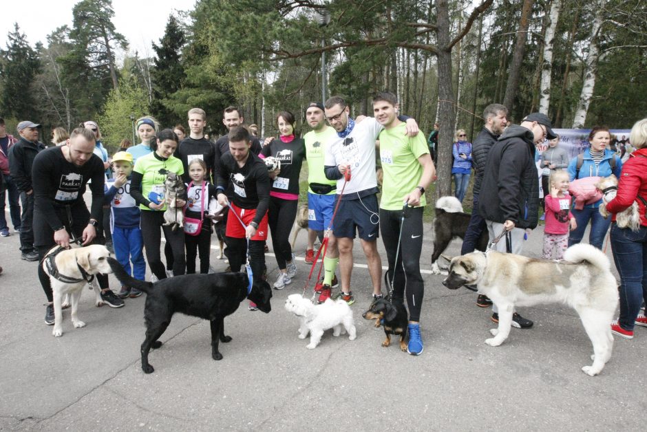 Klaipėdoje miško taku bėgo būrys šunų augintojų ir jų gyvūnai