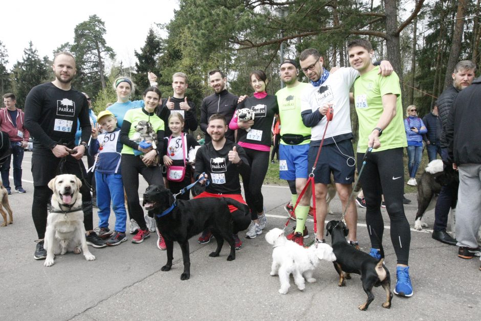 Klaipėdoje miško taku bėgo būrys šunų augintojų ir jų gyvūnai