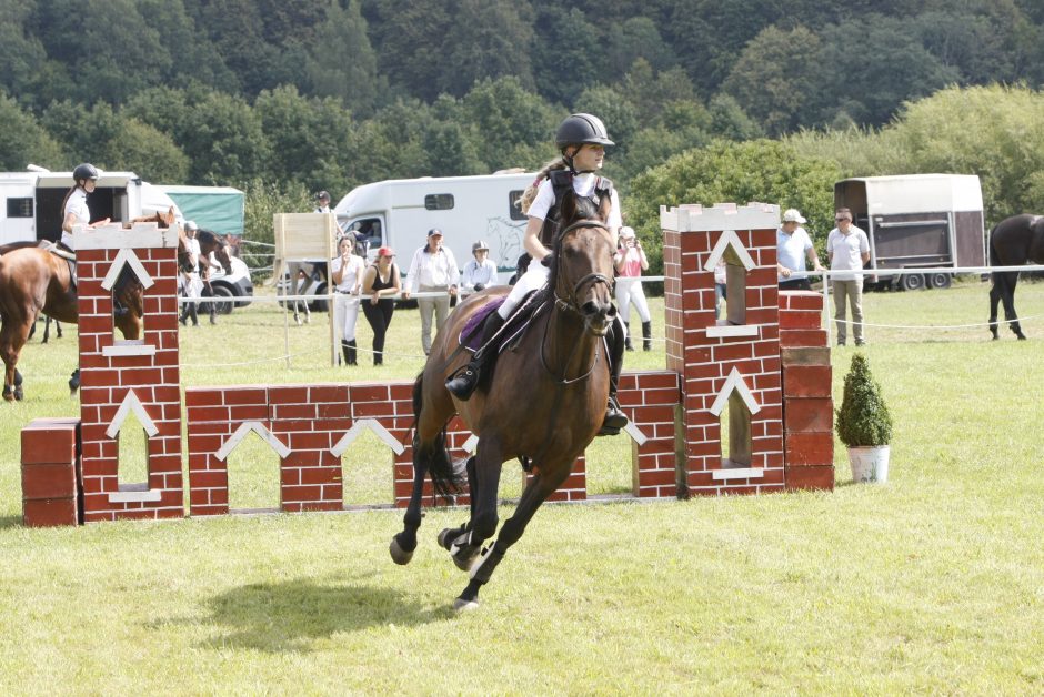 Gargžduose pakvipo cepelinais – vyksta virimo čempionatas