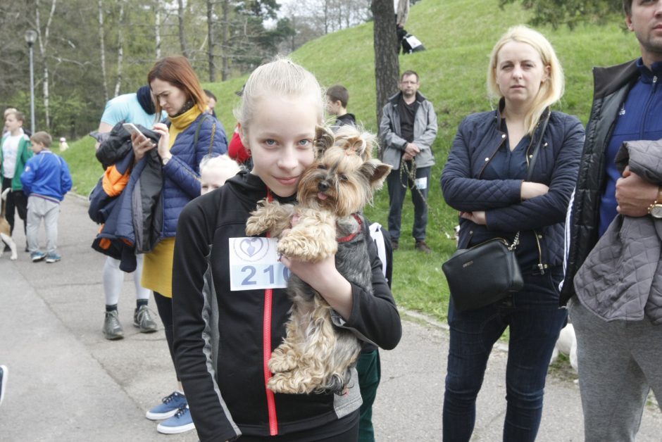 Klaipėdoje miško taku bėgo būrys šunų augintojų ir jų gyvūnai