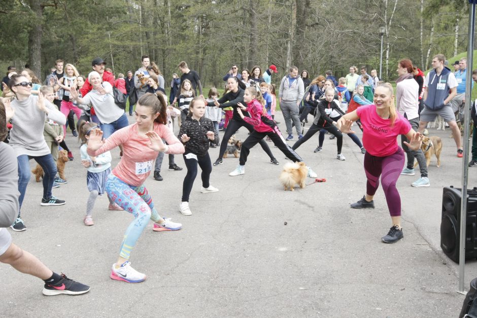 Klaipėdoje miško taku bėgo būrys šunų augintojų ir jų gyvūnai