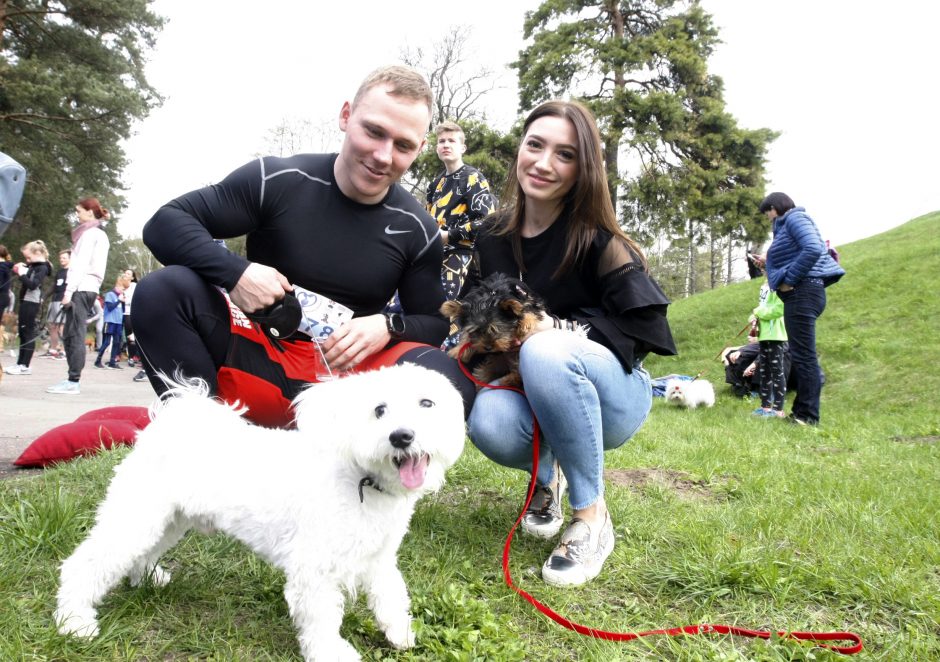 Klaipėdoje miško taku bėgo būrys šunų augintojų ir jų gyvūnai