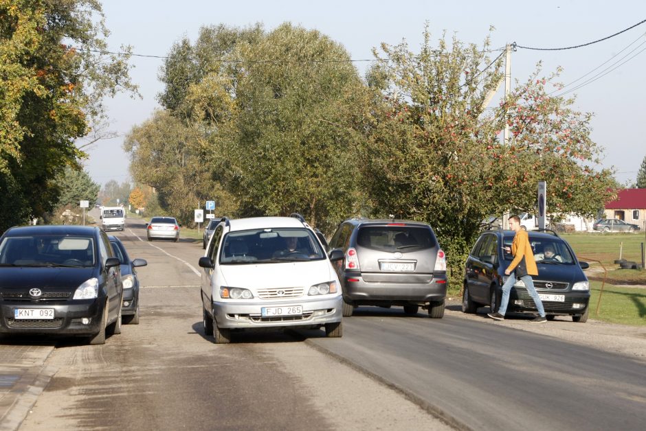 Gyventojai pasipiktinę: sodams gresia likvidacija?