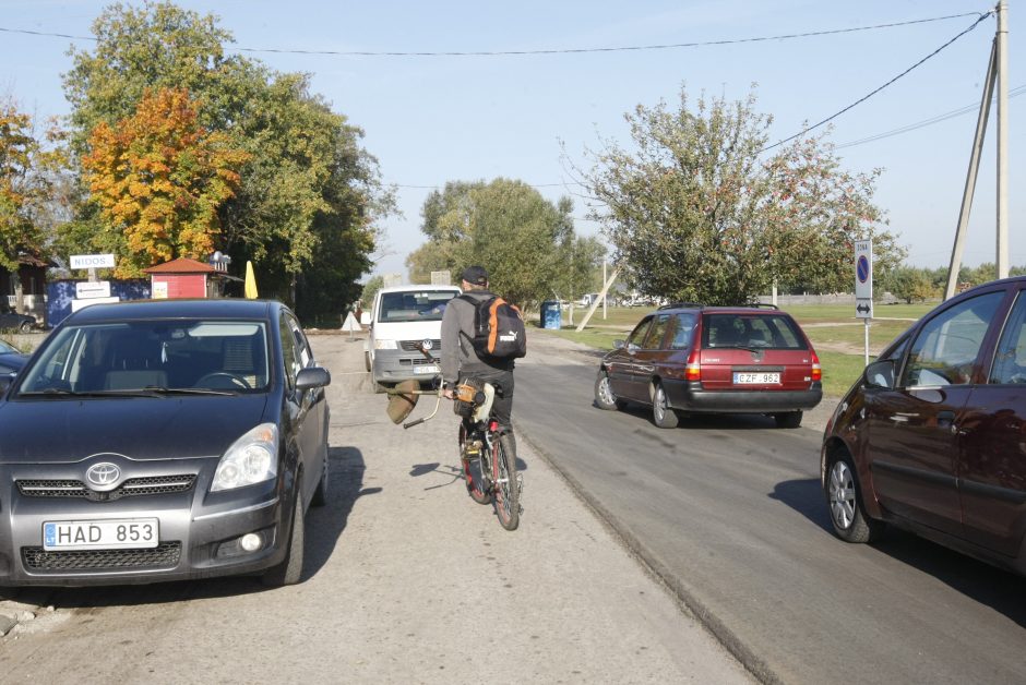 Gyventojai pasipiktinę: sodams gresia likvidacija?