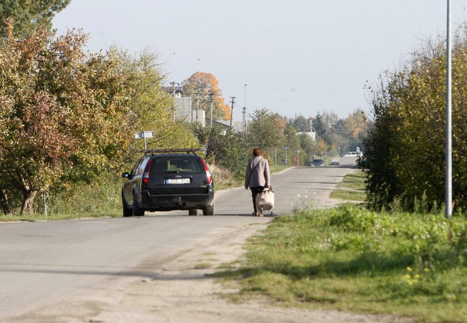 Gyventojai pasipiktinę: sodams gresia likvidacija?