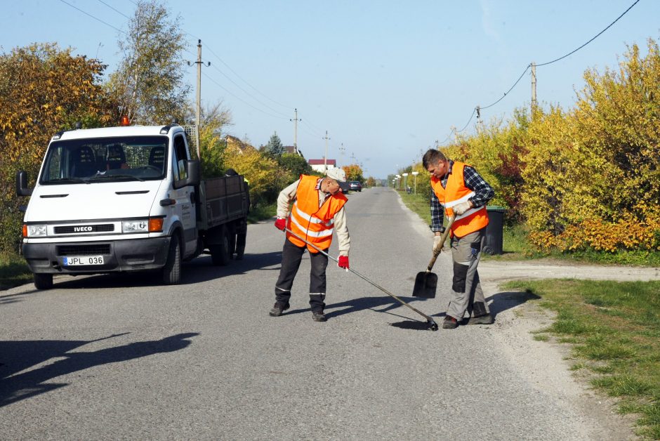 Gyventojai pasipiktinę: sodams gresia likvidacija?