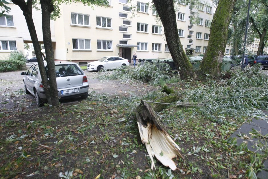 Per parą ugniagesiai daugiau nei 60 kartų vyko šalinti nuvirtusių medžių