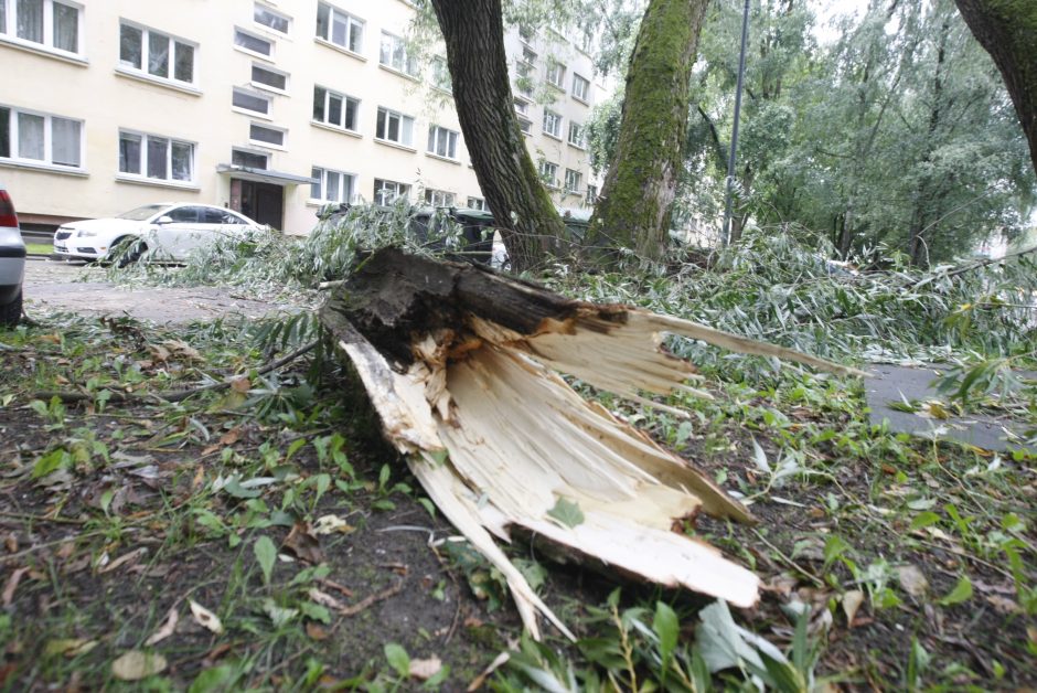 Per parą ugniagesiai daugiau nei 60 kartų vyko šalinti nuvirtusių medžių