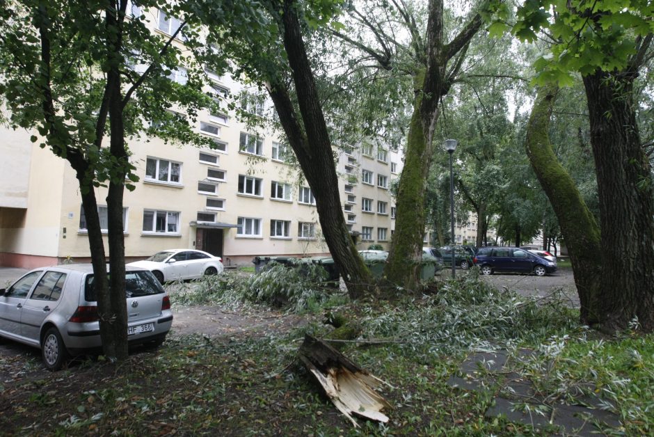 Per parą ugniagesiai daugiau nei 60 kartų vyko šalinti nuvirtusių medžių