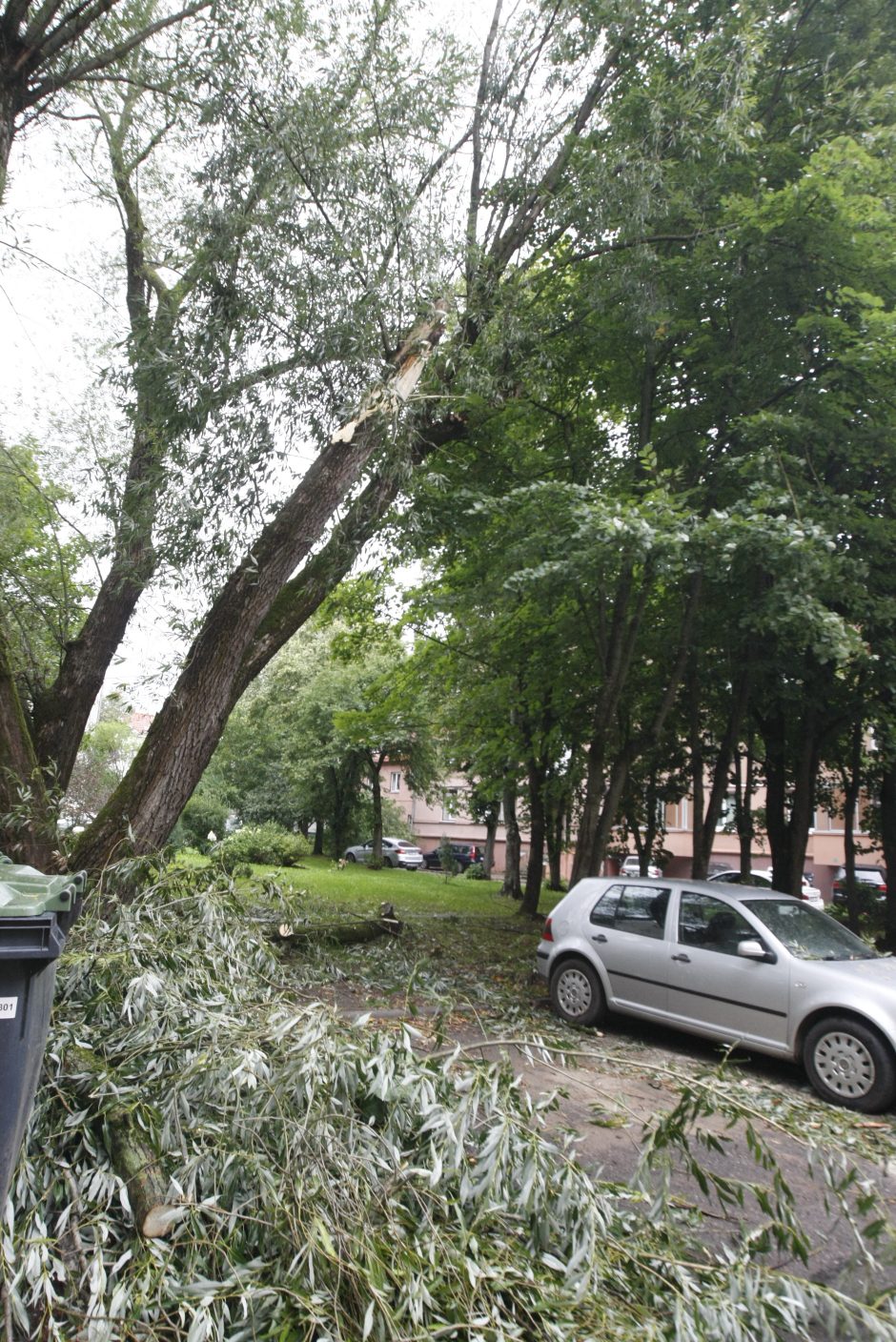 Per parą ugniagesiai daugiau nei 60 kartų vyko šalinti nuvirtusių medžių