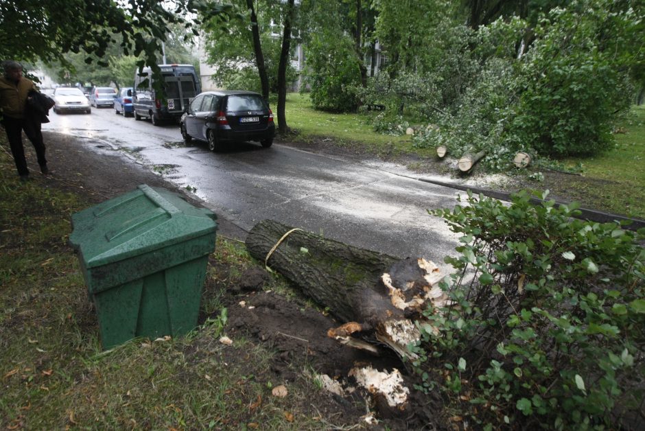 Per parą ugniagesiai daugiau nei 60 kartų vyko šalinti nuvirtusių medžių