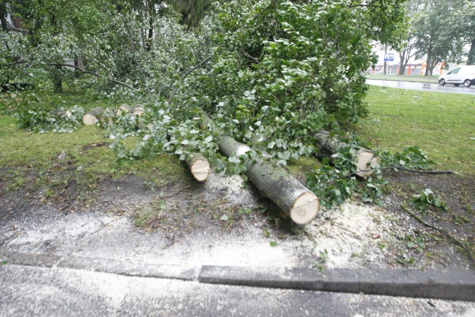 Per parą ugniagesiai daugiau nei 60 kartų vyko šalinti nuvirtusių medžių