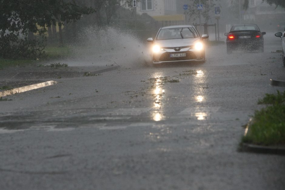 Per parą ugniagesiai daugiau nei 60 kartų vyko šalinti nuvirtusių medžių