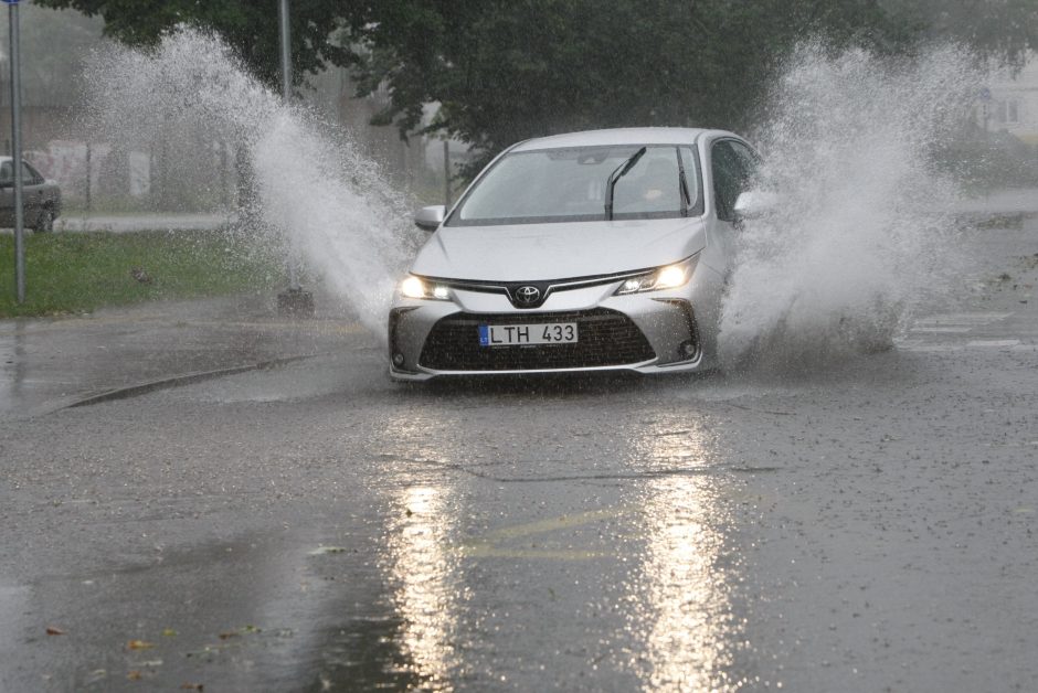 Per parą ugniagesiai daugiau nei 60 kartų vyko šalinti nuvirtusių medžių