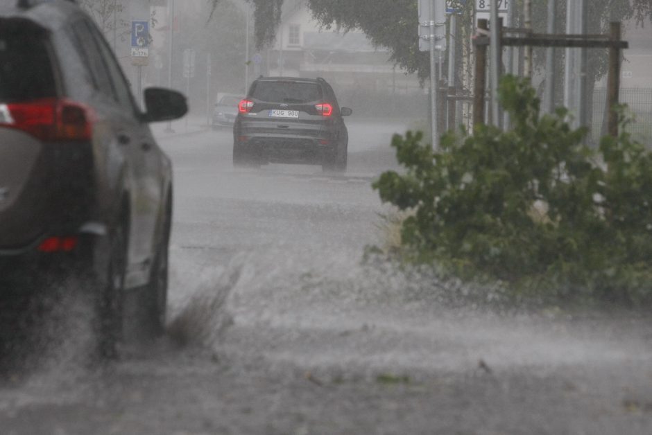 Per parą ugniagesiai daugiau nei 60 kartų vyko šalinti nuvirtusių medžių