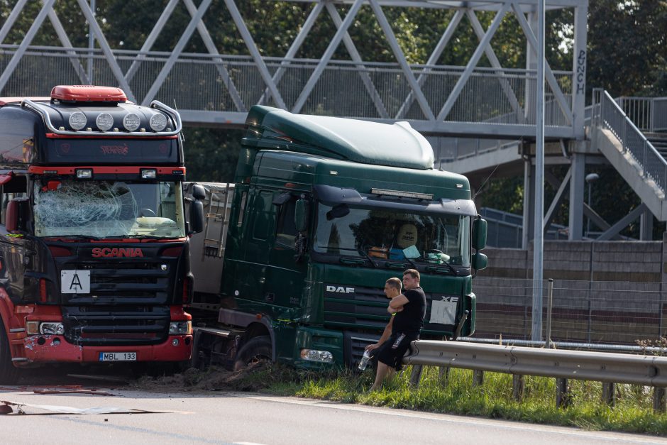 Tragiška avarija ties Vieviu: žuvus kelininkui, pareigūnai ieško liudininkų