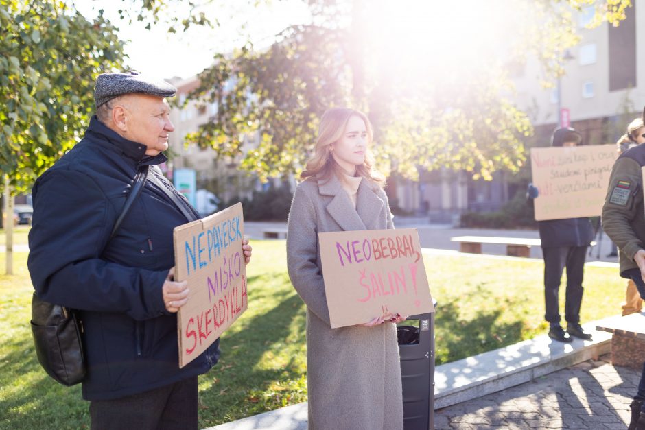 Parlamentarai neįteisino naktinių taikiklių šernams medžioti, bet galutinis priėmimas įstrigo