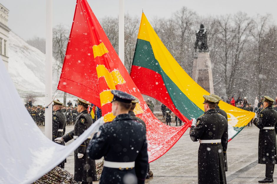 Vilniuje – Lietuvos kariuomenės dienos rikiuotė ir karių paradas