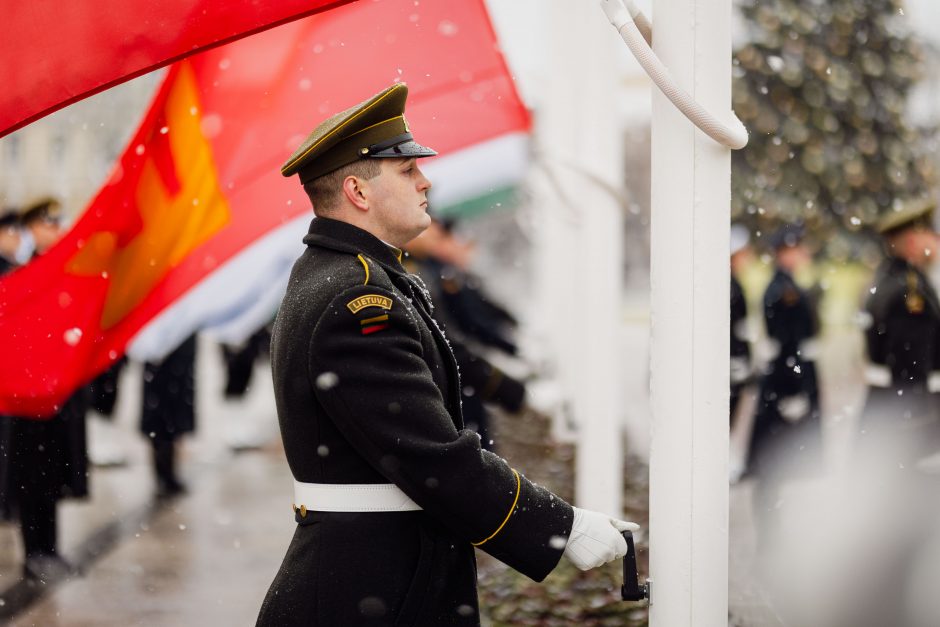 Vilniuje – Lietuvos kariuomenės dienos rikiuotė ir karių paradas