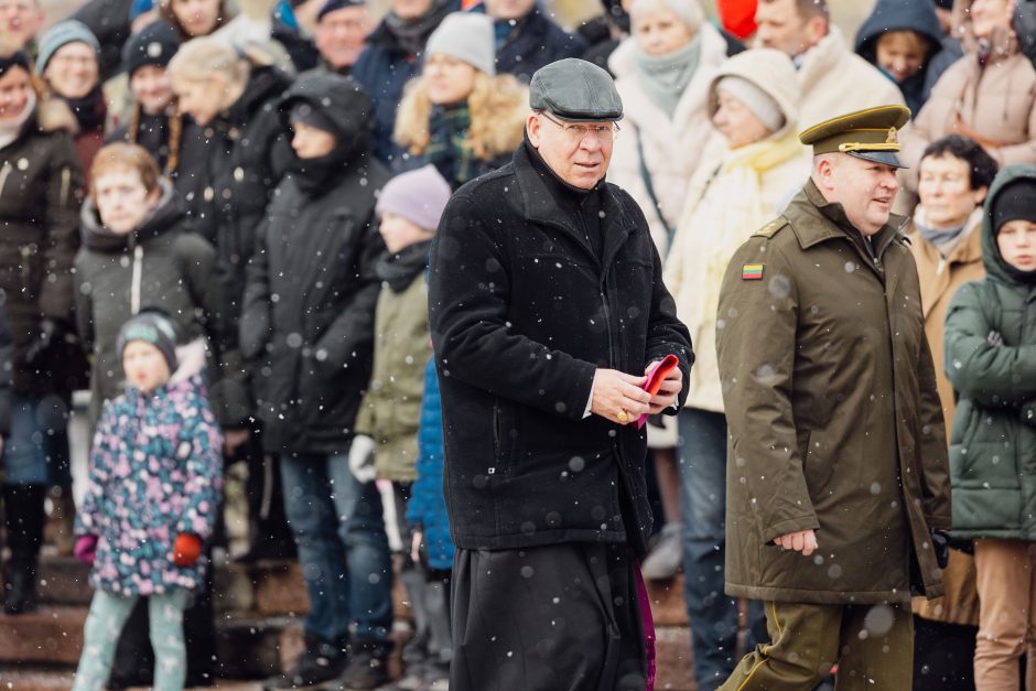 Vilniuje – Lietuvos kariuomenės dienos rikiuotė ir karių paradas