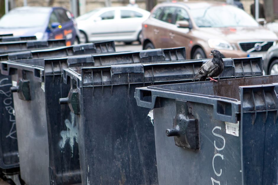 Buitinių atliekų konteineryje – neįprastas radinys