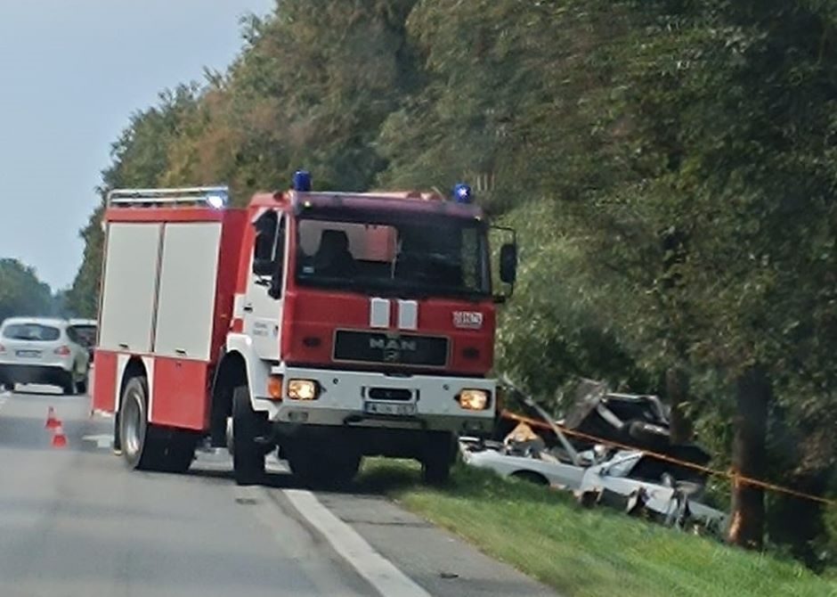 Kėdainių rajone automobilvežis, susidūręs su stirna, nulėkė į griovį